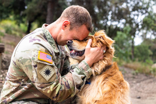 VA purchase loan options